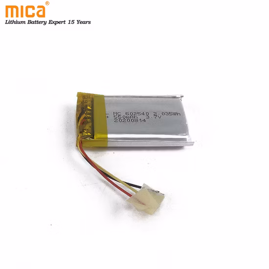 602540 Ricaricabile Li